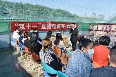 以新媒体技术服务赋能乡村振兴 国家级电子商务进农村综合示范项目的新引擎